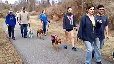 West Chester Pack Walk